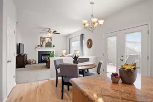 9809 Mulberry Way, Highlands Ranch, CO 80129 - Photo 4