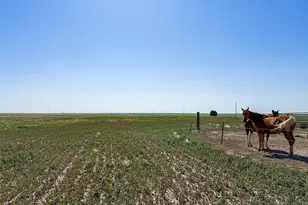 41777 Co Rd T, Burlington, CO 80807 - Photo 26