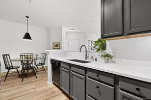 10733 Twenty Mile Road, Parker, CO 80134 - Photo 12