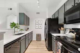 10733 Twenty Mile Road, Parker, CO 80134 - Photo 10