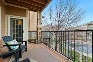 10733 Twenty Mile Road, Parker, CO 80134 - Photo 30