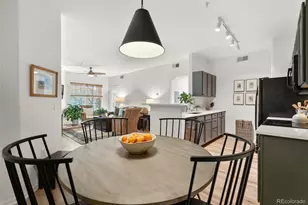 10733 Twenty Mile Road, Parker, CO 80134 - Photo 10