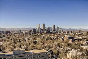 1313 N Williams St, Denver, CO 80218 - Photo 22