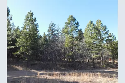 6294 Troon Court, Larkspur, CO 80118 - Photo 2