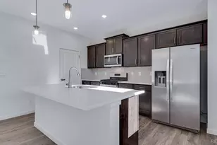 14254 Beebalm Ave, Parker, CO 80134 - Photo 10