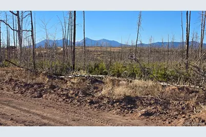 Lot 1505 Von Hyle Lane, Fort Garland, CO 81133 - Photo 16