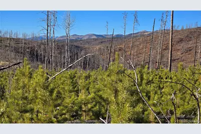 Lot 1505 Von Hyle Lane, Fort Garland, CO 81133 - Photo 2