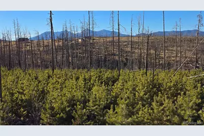 Lot 1505 Von Hyle Lane, Fort Garland, CO 81133 - Photo 18