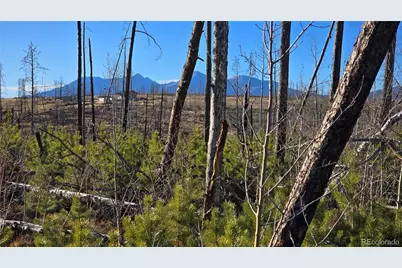 Lot 1505 Von Hyle Lane, Fort Garland, CO 81133 - Photo 12