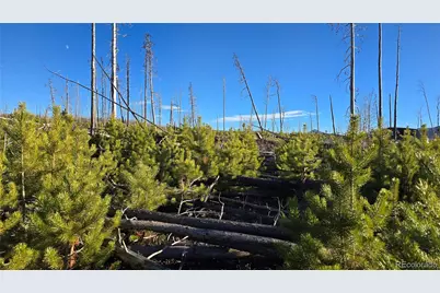 Lot 1505 Von Hyle Lane, Fort Garland, CO 81133 - Photo 4