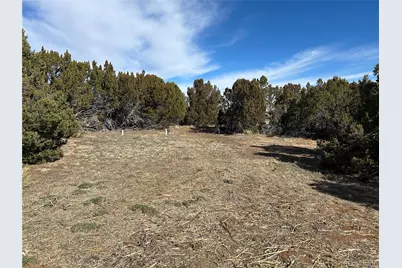 250 Mt Mestas Drive, Walsenburg, CO 81089 - Photo 20