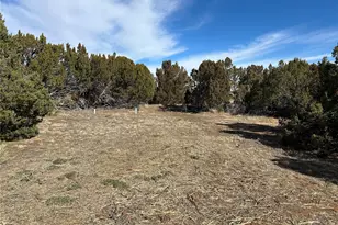 250 Mount Mestas Dr, Walsenburg, CO 81089 - Photo 20