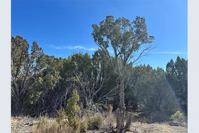 250 Mt Mestas Drive, Walsenburg, CO 81089 - Photo 22