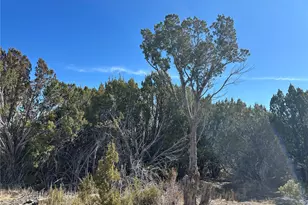 250 Mount Mestas Dr, Walsenburg, CO 81089 - Photo 22