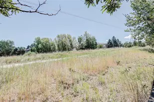11176 Rodeo Cir, Parker, CO 80138 - Photo 18