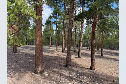 719 Peak View Drive, Twin Lakes, CO 81251 - Photo 2