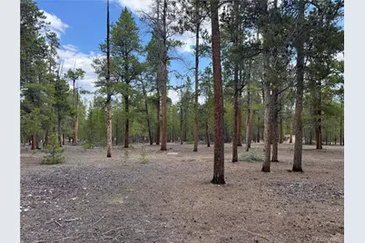 719 Peak View Drive, Twin Lakes, CO 81251 - Photo 4