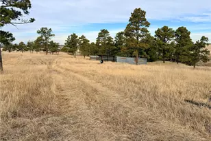 24063 Co Rd 122, Ramah, CO 80832 - Photo 40