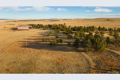 24063 County Road 122, Ramah, CO 80832 - Photo 6