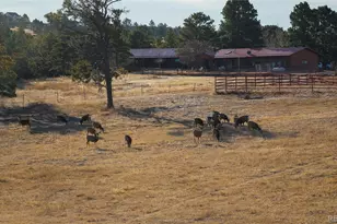 24063 Co Rd 122, Ramah, CO 80832 - Photo 12