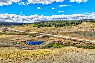 317 Lippzana Rd, Como, CO 80432 - Photo 1