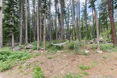 865 Silver Creek Road, Idaho Springs, CO 80452 - Photo 24