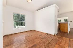 865 Silver Creek Rd, Idaho Springs, CO 80452 - Photo 4