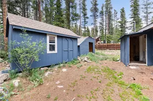 865 Silver Creek Rd, Idaho Springs, CO 80452 - Photo 22