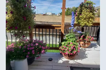 475 Hampstead Avenue, Castle Rock, CO 80104 - Photo 36