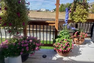 475 Hampstead Ave, Castle Rock, CO 80104 - Photo 36