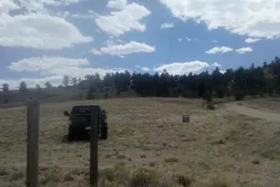 1192 Corral Rd, Hartsel, CO 80449 - Photo 1