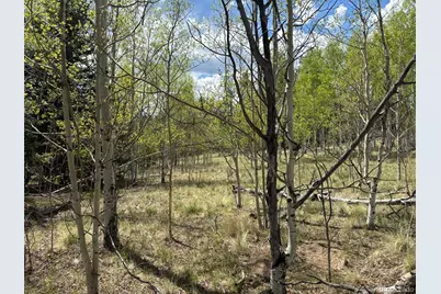 75 Ithaca Lane, Como, CO 80432 - Photo 6