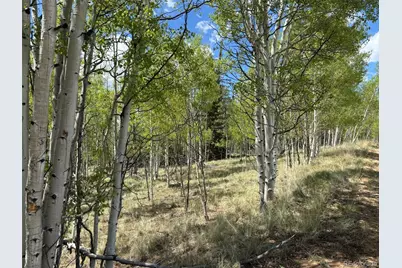 75 Ithaca Lane, Como, CO 80432 - Photo 4