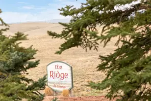 1737 High Plains Ct, Superior, CO 80027 - Photo 28