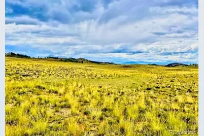 123 Chickamauga Trail, Hartsel, CO 80449 - Photo 4