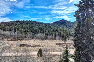 1479 Ouray Trail, Como, CO 80432 - Photo 44