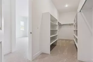 1315 Oleander St, Castle Rock, CO 80109 - Photo 22