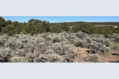 Lot 4 Elk Park Road, San Luis, CO 81152 - Photo 20