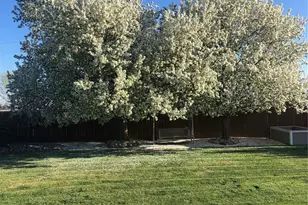 805 Waxberry Ct, Loveland, CO 80538 - Photo 12