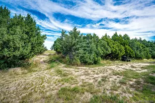 37615 Comanche Creek Rd, Kiowa, CO 80117 - Photo 42