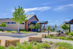 9195 Star Streak Cir, Littleton, CO 80125 - Photo 44