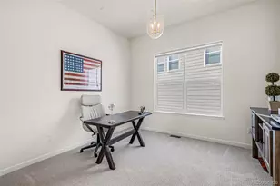 650 Simmental Loop, Castle Rock, CO 80104 - Photo 20