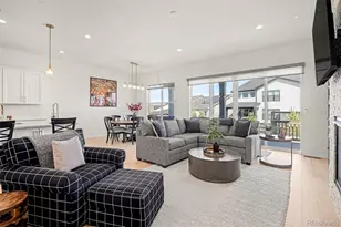 650 Simmental Loop, Castle Rock, CO 80104 - Photo 6