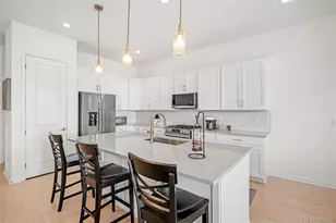 650 Simmental Loop, Castle Rock, CO 80104 - Photo 12