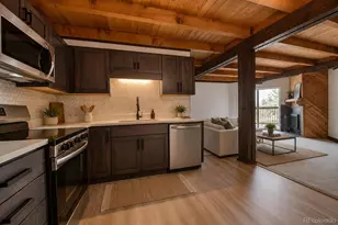 4400 Lodgepole Cir, Silverthorne, CO 80498 - Photo 38