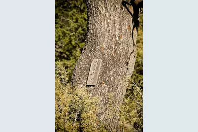 3609 Splendid Terrace, Crestone, CO 81131 - Photo 10