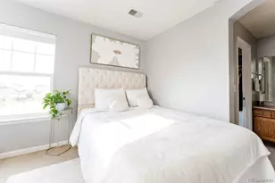 3887 Ute Mountain Trail, Castle Rock, CO 80109 - Photo 18