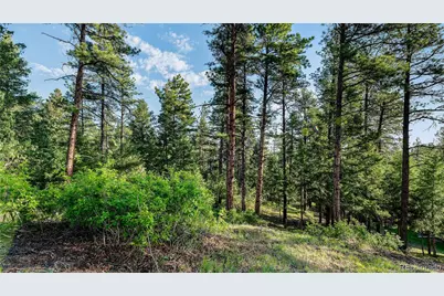 8125 Bannock Drive, Larkspur, CO 80118 - Photo 16