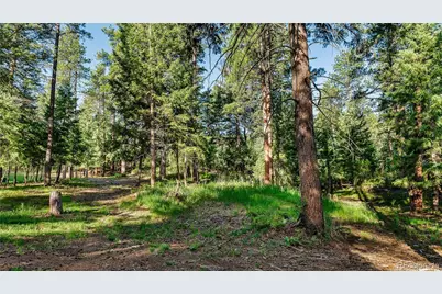 8125 Bannock Drive, Larkspur, CO 80118 - Photo 20