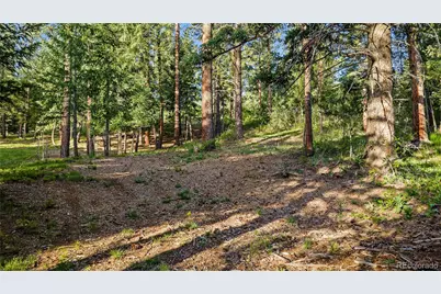 8125 Bannock Drive, Larkspur, CO 80118 - Photo 6